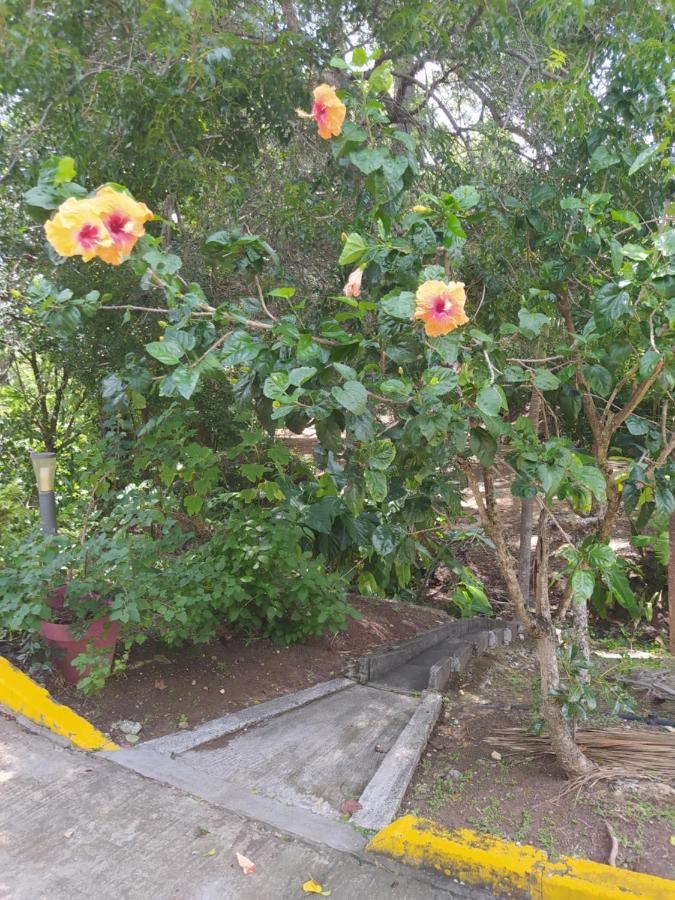 Studio Hibiscus Sainte-Anne Luaran gambar